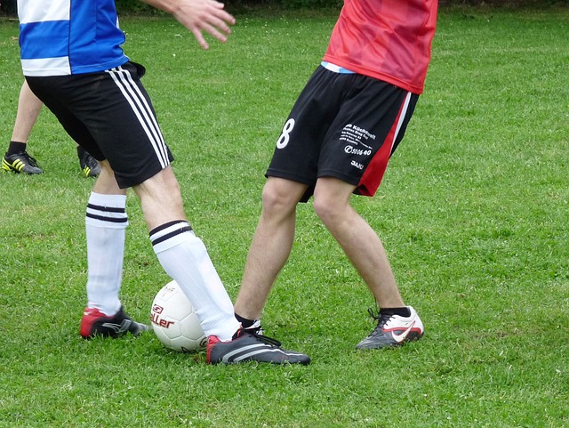 面回归已使 面回归已使