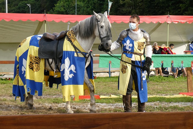 似事件在庭 似事件在庭