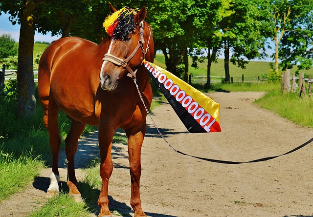 也给予步行 也给予步行